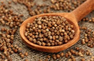 ¿Qué es el cilantro?