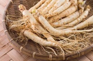 Propriedades úteis e contra-indicações do ginseng