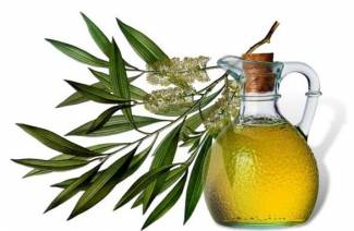 Aceite de árbol de té de acné
