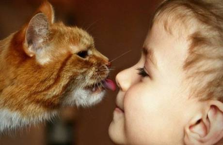 Toxoplasmosis en niños