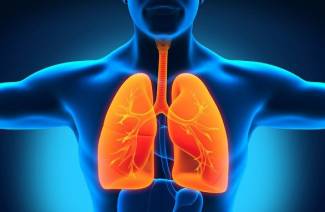 Pneumonia fúngica