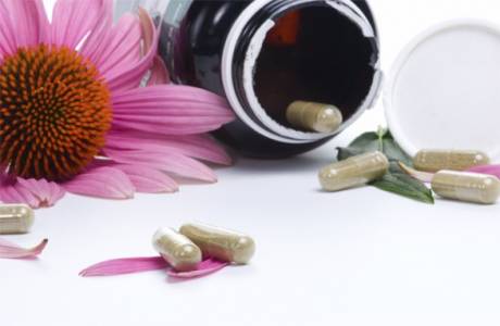Echinacea para imunidade