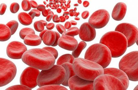 Hemoglobínový test