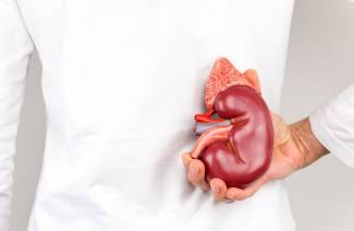 Insuficiencia renal