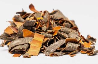 Aspen Bark na cukrzycę