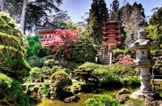 Japon bahçesi