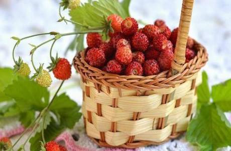 Cómo congelar fresas para el invierno