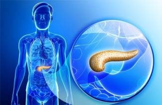 Enzimas pancreáticas