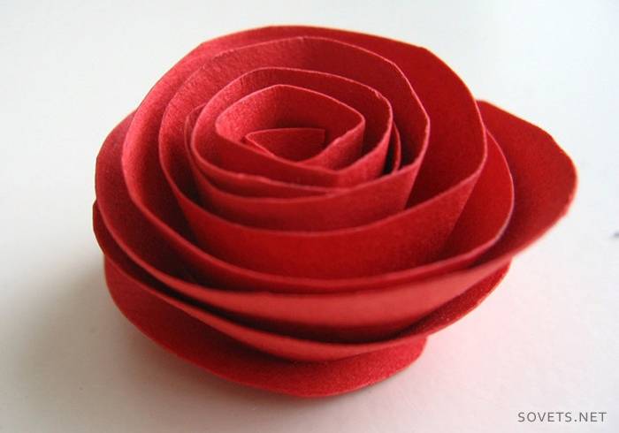 Rosa roja