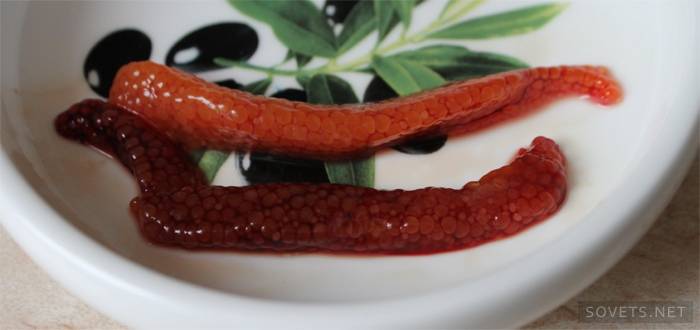 Caviar rojo