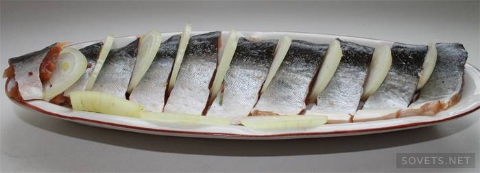 Plato de pescado