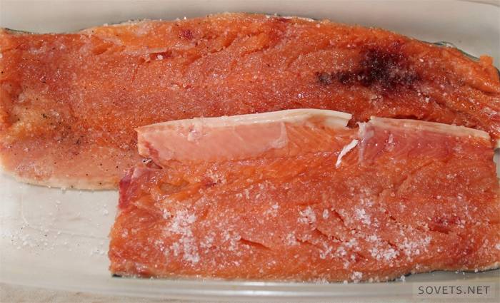 Salar pescado rojo