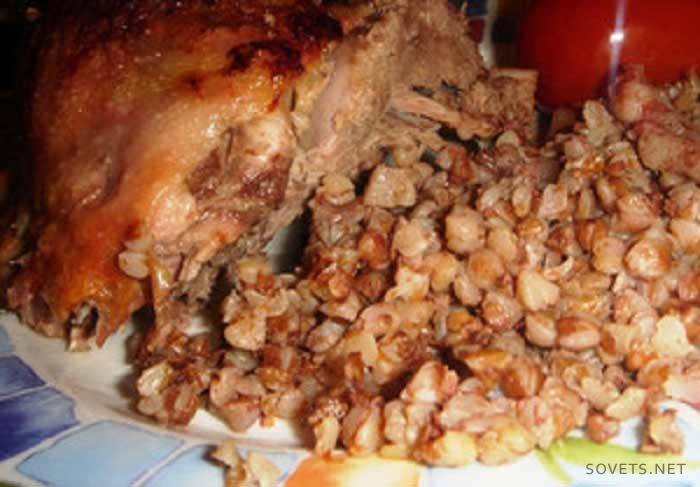 Horno con trigo sarraceno