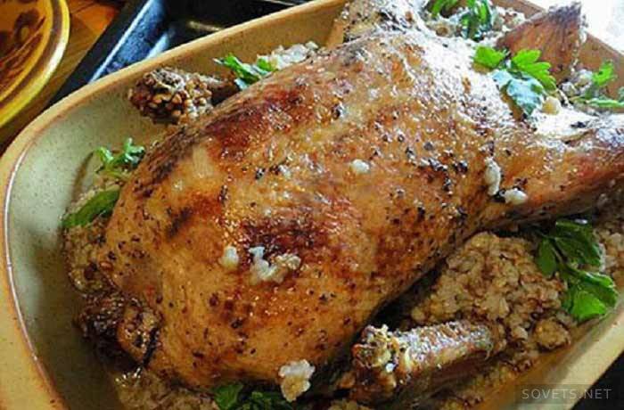 Horno indochka con arroz