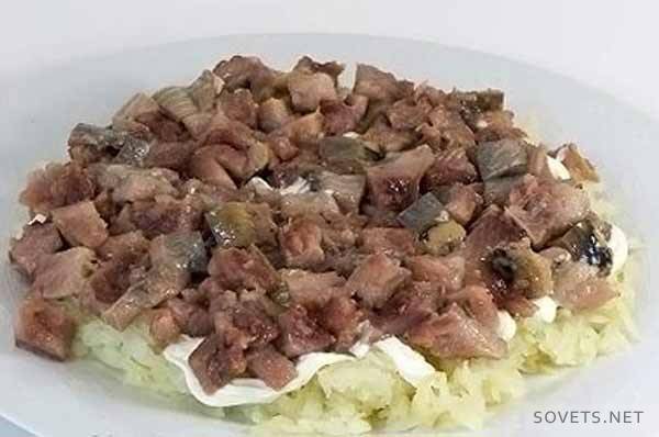 Слој харинге