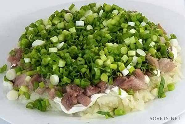 Сјецкани лук