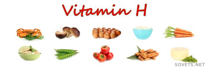 Vitamina H