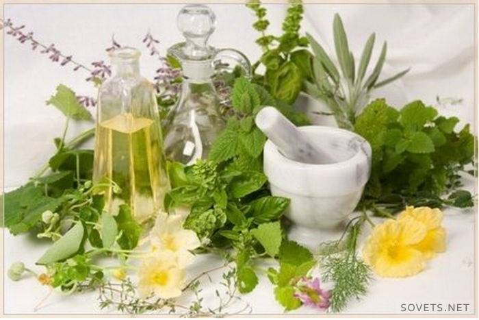 limpiar el cuerpo de toxinas en casa con hierbas