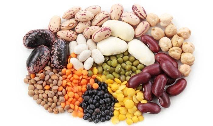 Fuentes de proteína vegetal