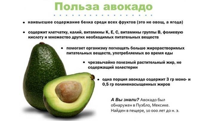 Los beneficios del aguacate