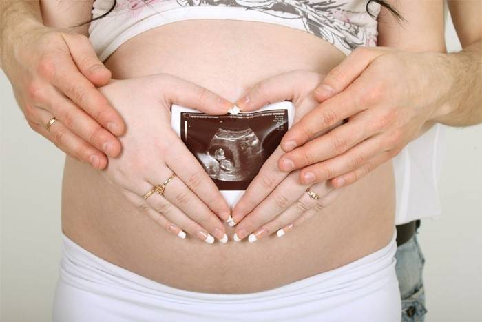 Ultra-sonografia do feto na 15ª semana de gestação