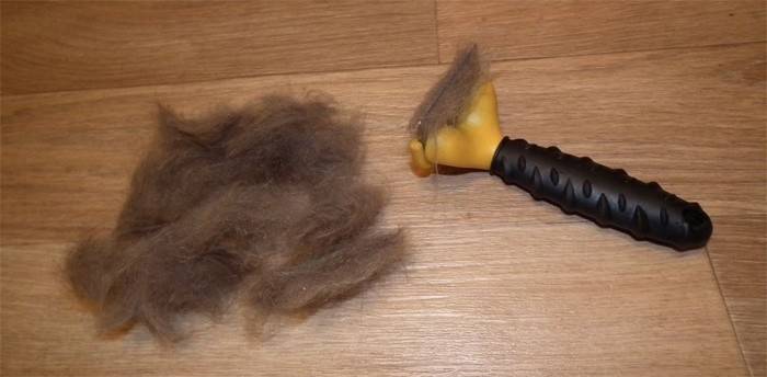 Peinado de pelo animal