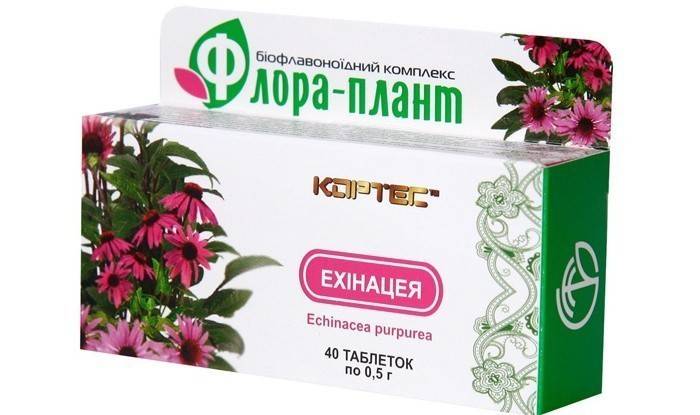 Preparat farmaceutyczny z rośliny