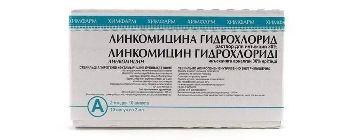 Injekcia hydrochloridu lincomycínu