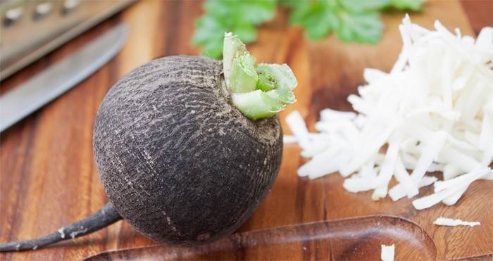 Vegetal de raiz útil