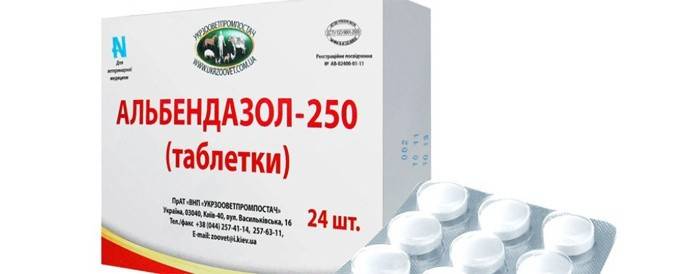 Albendazol contra gusanos
