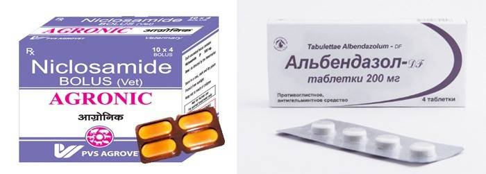 Preparativos para o tratamento de vermes em adultos