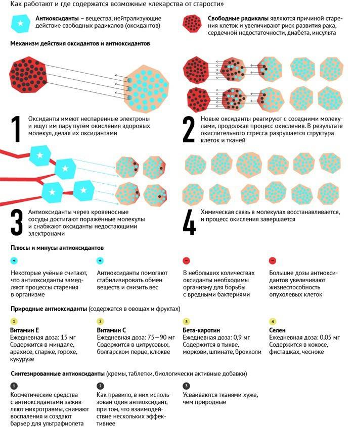 Como antioxidantes funcionam e onde