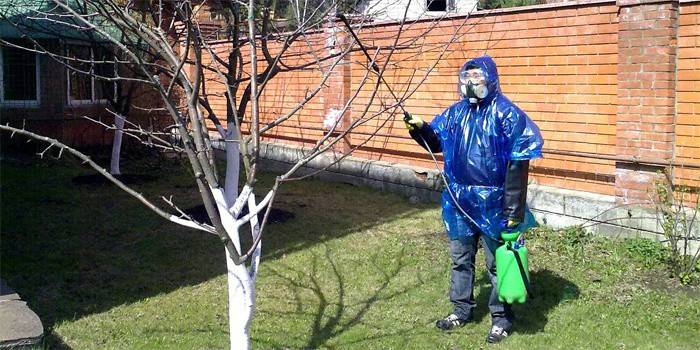Un hombre trata un jardín de plagas.