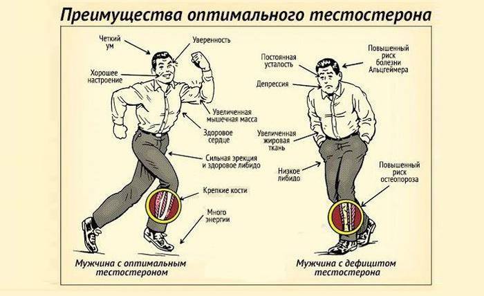 Korzyści z optymalnego poziomu hormonów męskich