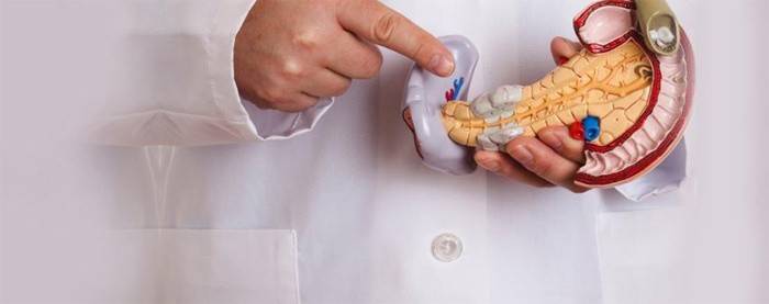 O médico explica a anatomia do pâncreas