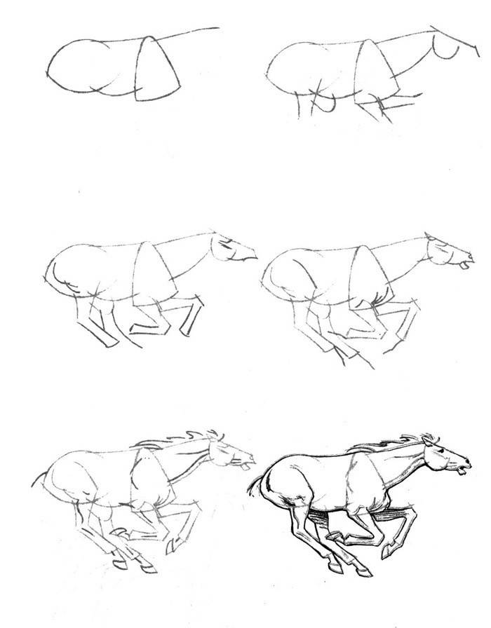 Cavalo correndo