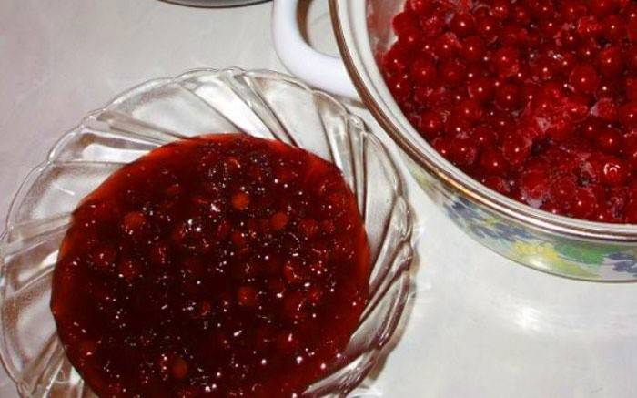 Pronto jam de viburnum
