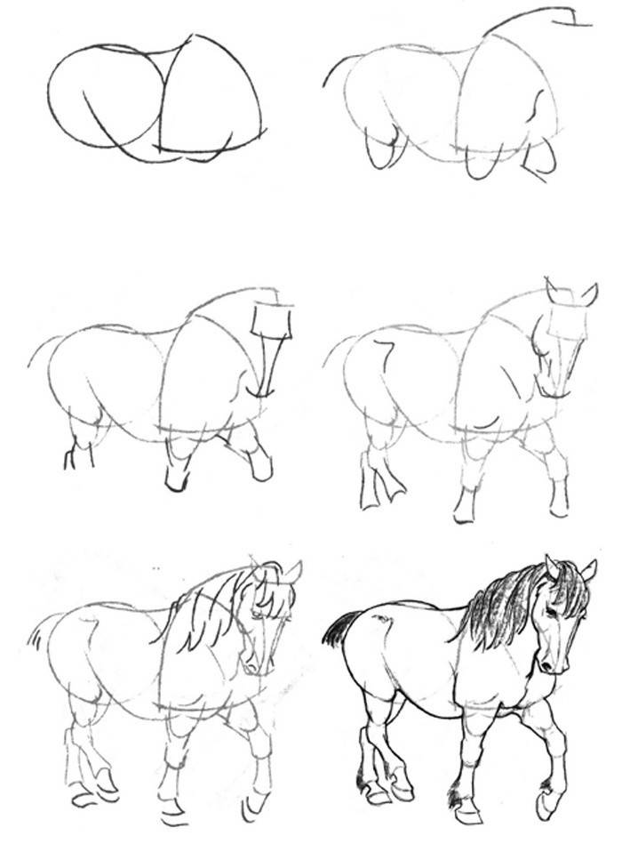 Cavalo herói