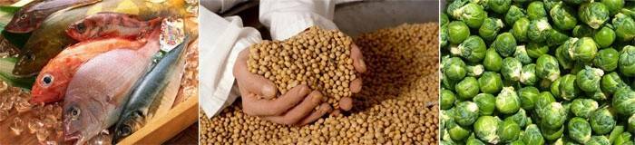 Soja: una alternativa a la carne