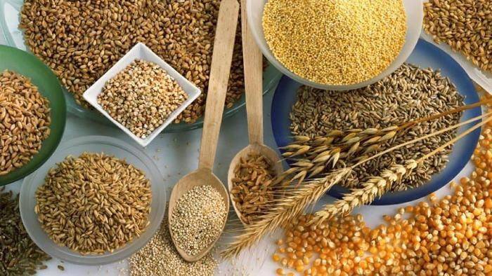 Los cereales juegan un papel importante en la nutrición.