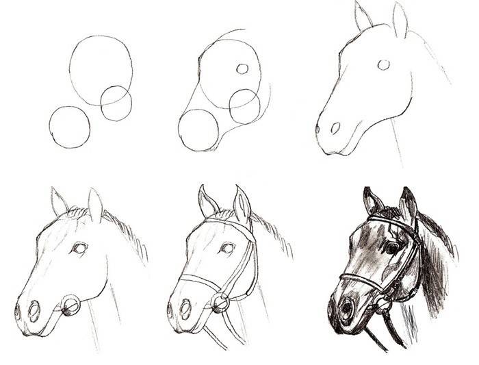 Cabeça desenho