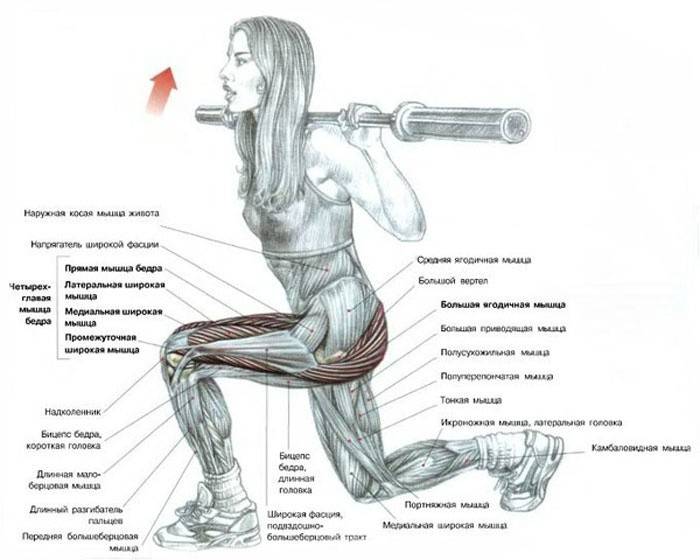 Barbell Lunges