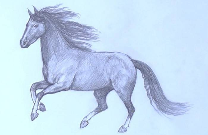 Cavalo correndo