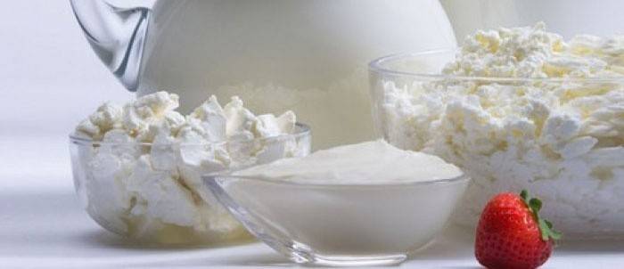 Alimentos lácteos com baixo teor de gordura - Produto para queima de gordura