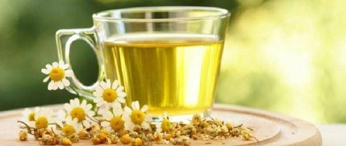 Camomila com pancreatite aumenta processos de reparação de tecidos