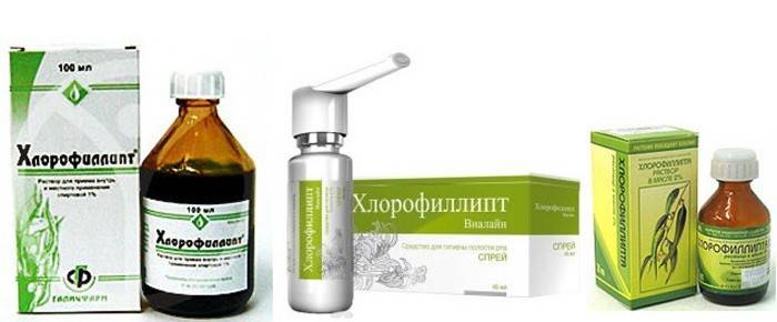 Rodzaje chlorofilu