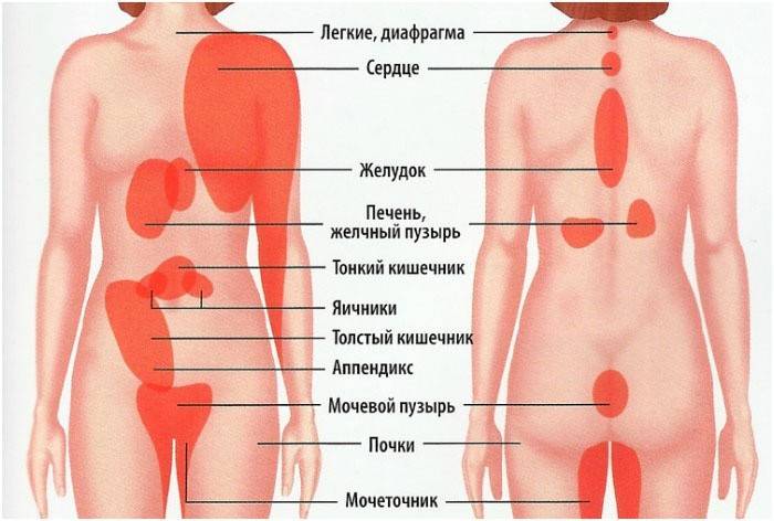Gdzie zlokalizowane są różne rodzaje bólu?