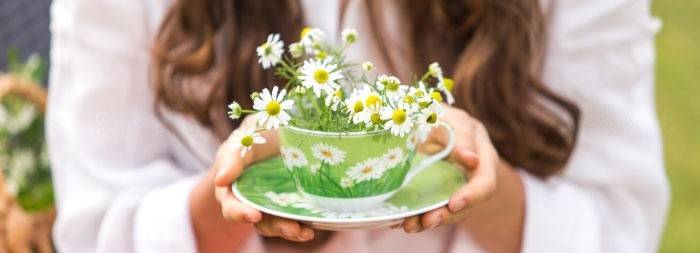 El té de manzanilla también puede ayudarlo a obtener su período antes de lo previsto.