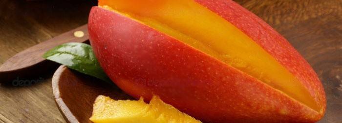 Como completar a dieta Protasov