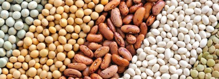 Alimentos ricos em amido
